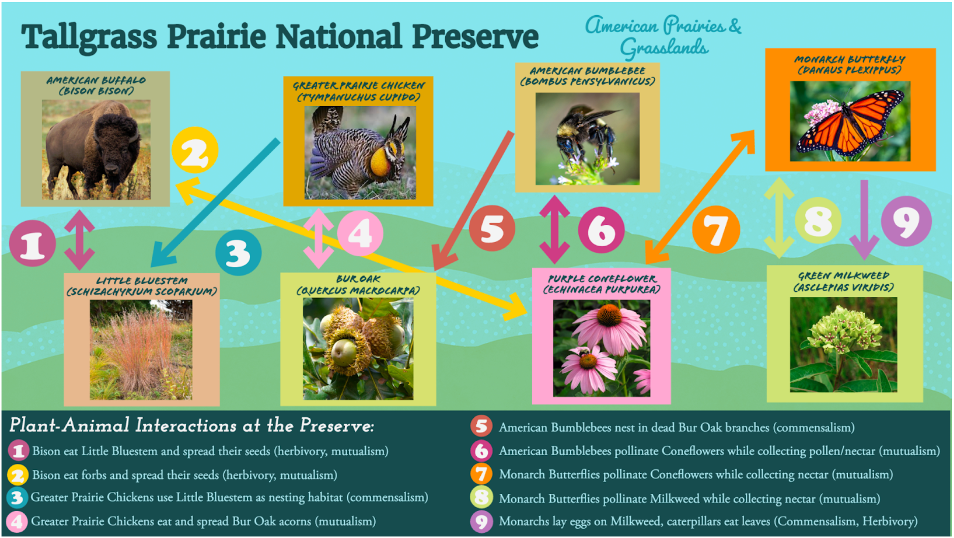 An example interpretive nature sign designed for a state/national park An example interpretive nature sign designed for a state/national park