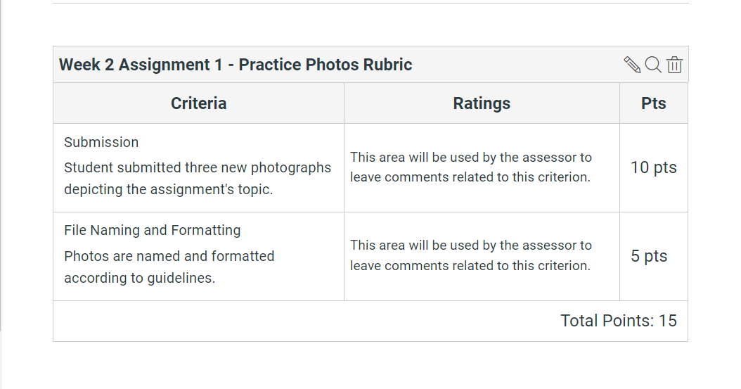 rubric_example.png