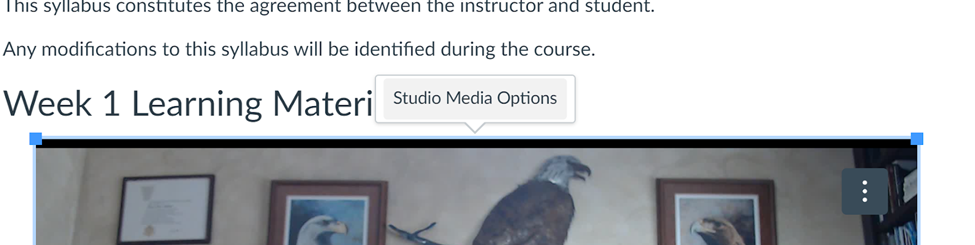 studiomediaoptions.png